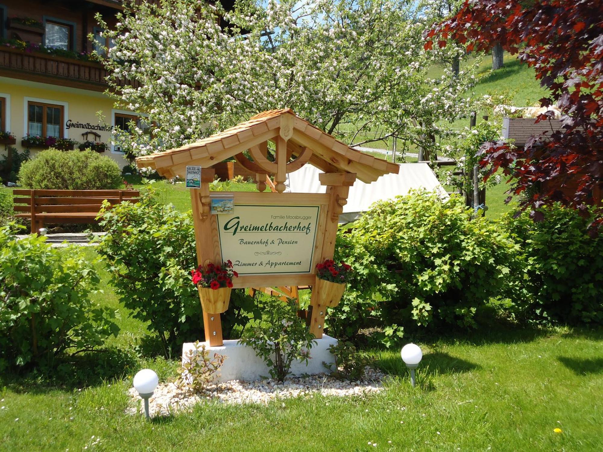 Pension-Greimelbacherhof Рамзау-ам-Дахштайн Екстер'єр фото