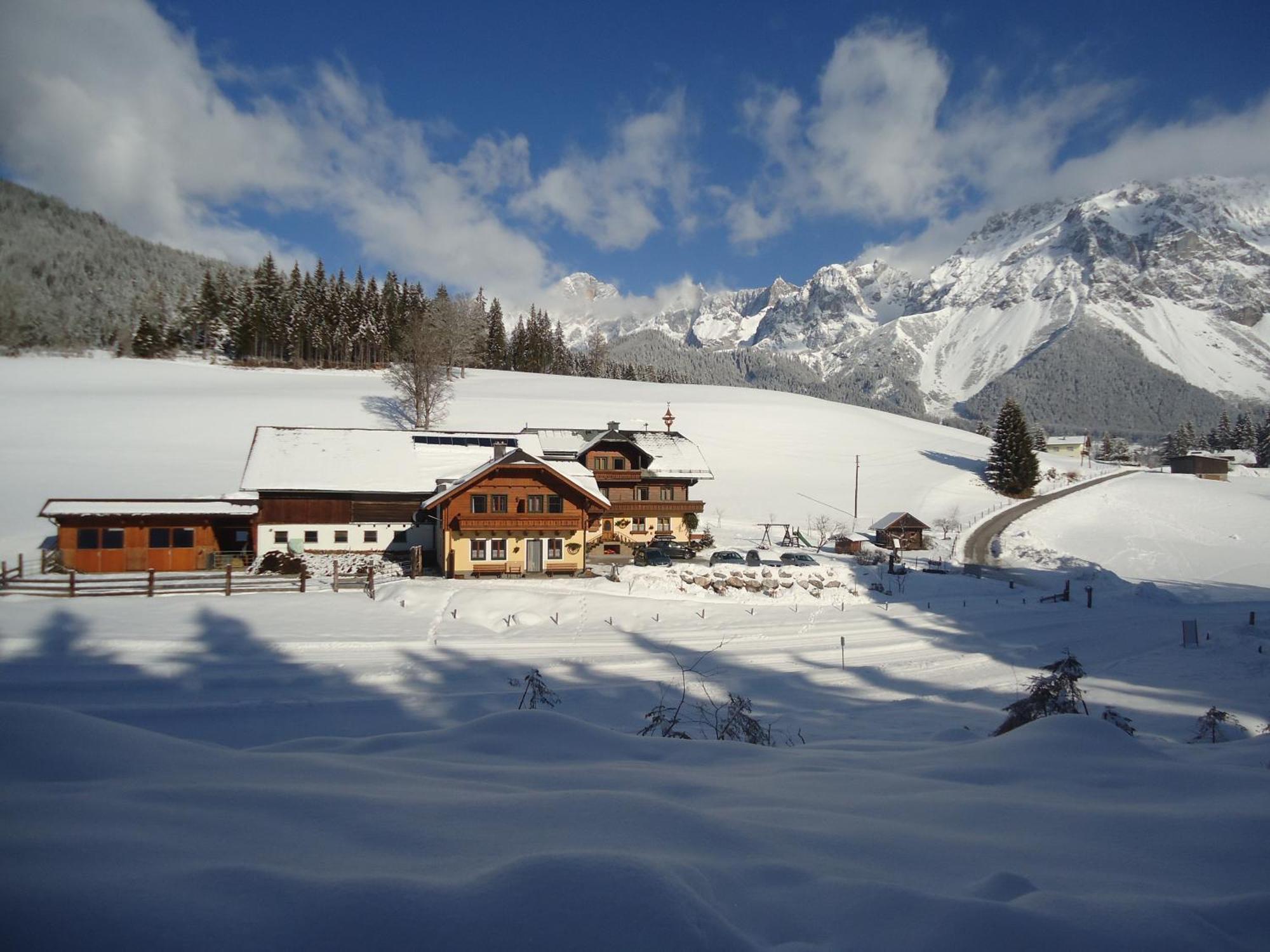 Pension-Greimelbacherhof Рамзау-ам-Дахштайн Екстер'єр фото