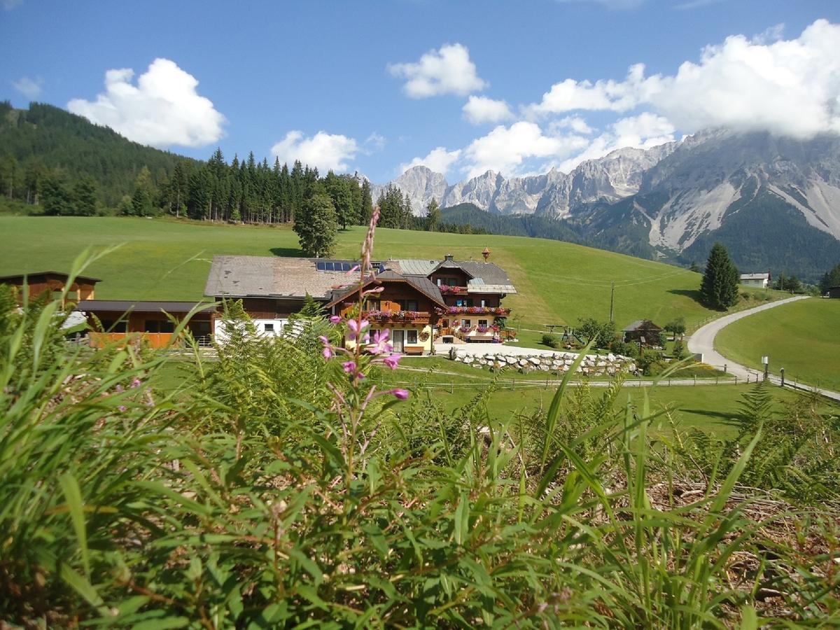 Pension-Greimelbacherhof Рамзау-ам-Дахштайн Екстер'єр фото