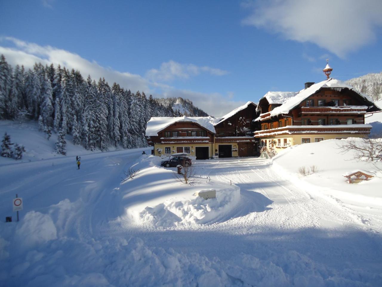 Pension-Greimelbacherhof Рамзау-ам-Дахштайн Екстер'єр фото